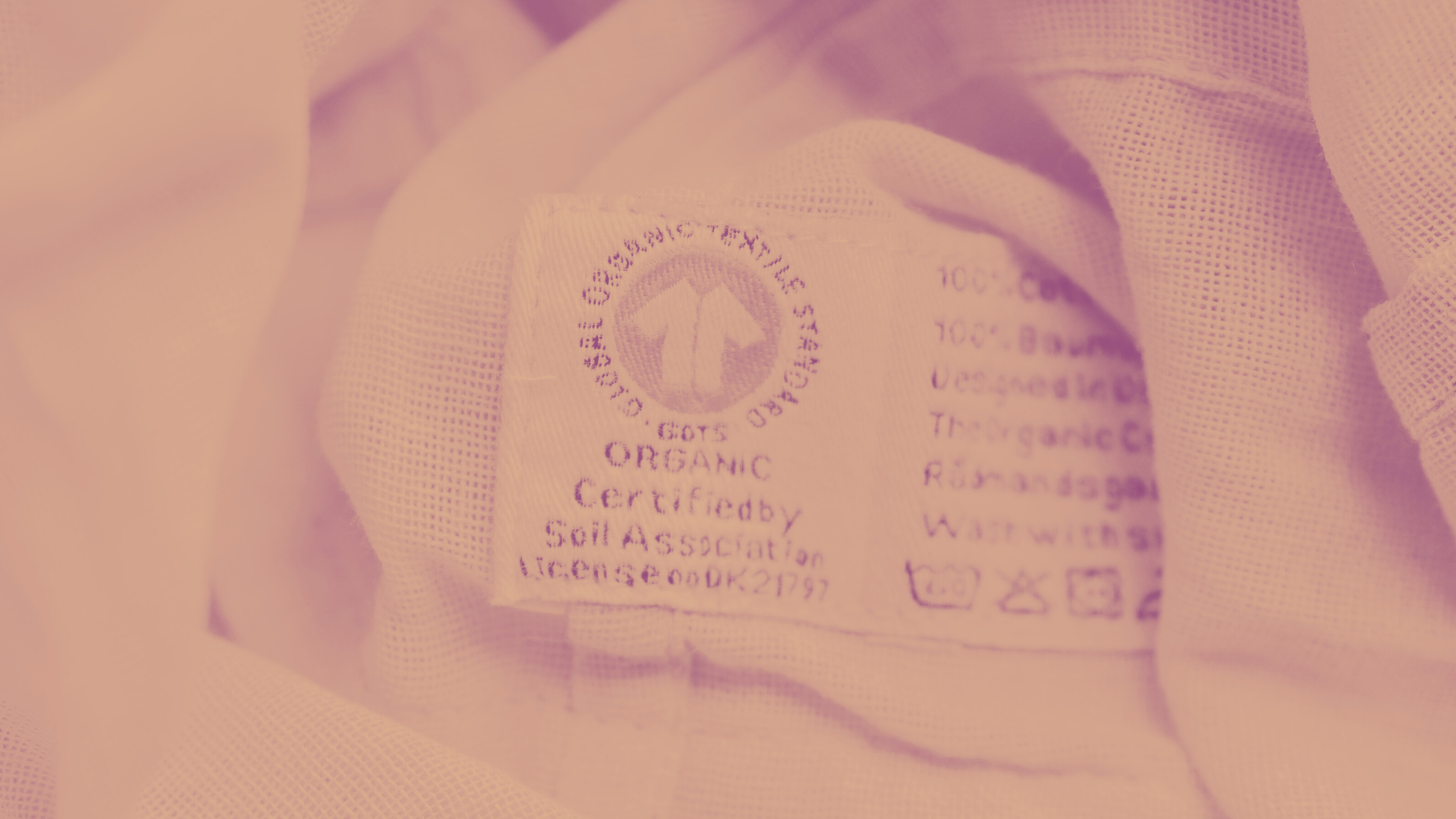 garment with GOTS certification